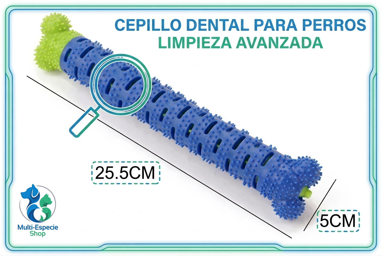 CHEWBRUSH: El Juguete Hueso Cepillo 3 en 1