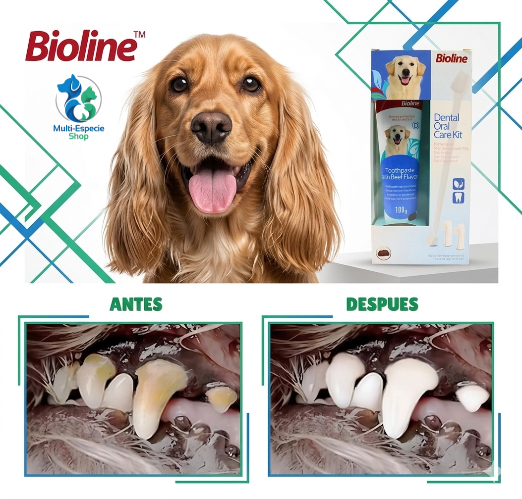 Set Cuidado Dental Bio Line Sabor Carne