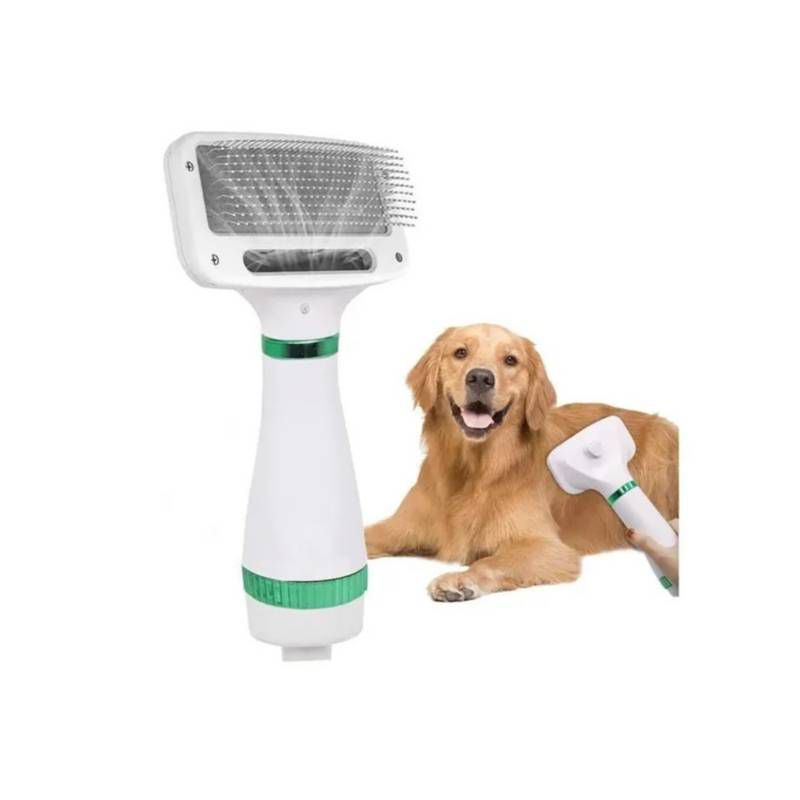 secador + cepillo 2 en 1 portátil deslizante