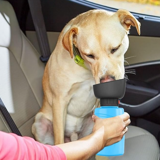 Bebedero Portátil para Perros y Gatos