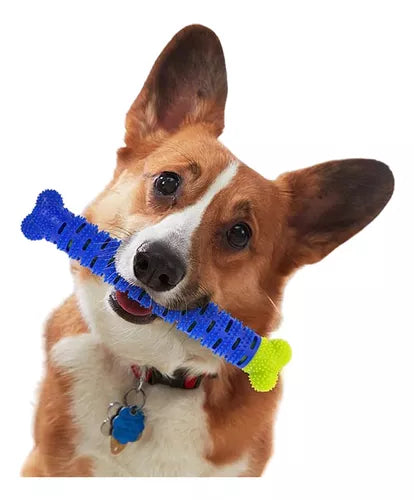 CHEWBRUSH: El Juguete Hueso Cepillo 3 en 1