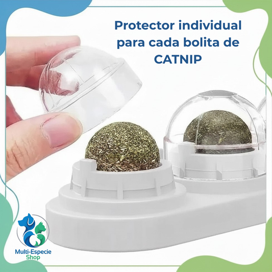 Bola de Catnip 3 en 1 para Gatos – Hierba Gatera Natural + Soporte Giratorio 360°