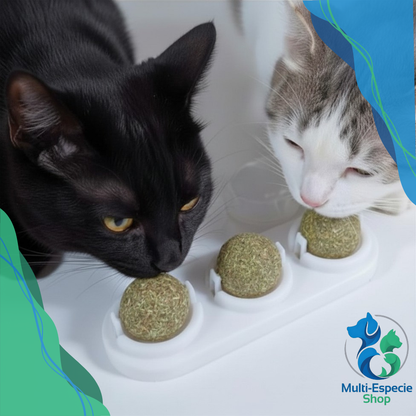 Bola de Catnip 3 en 1 para Gatos – Hierba Gatera Natural + Soporte Giratorio 360°