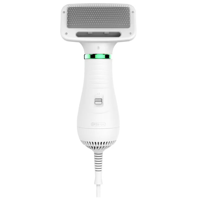 secador + cepillo 2 en 1 portátil deslizante