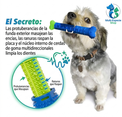 CHEWBRUSH: El Juguete Hueso Cepillo 3 en 1