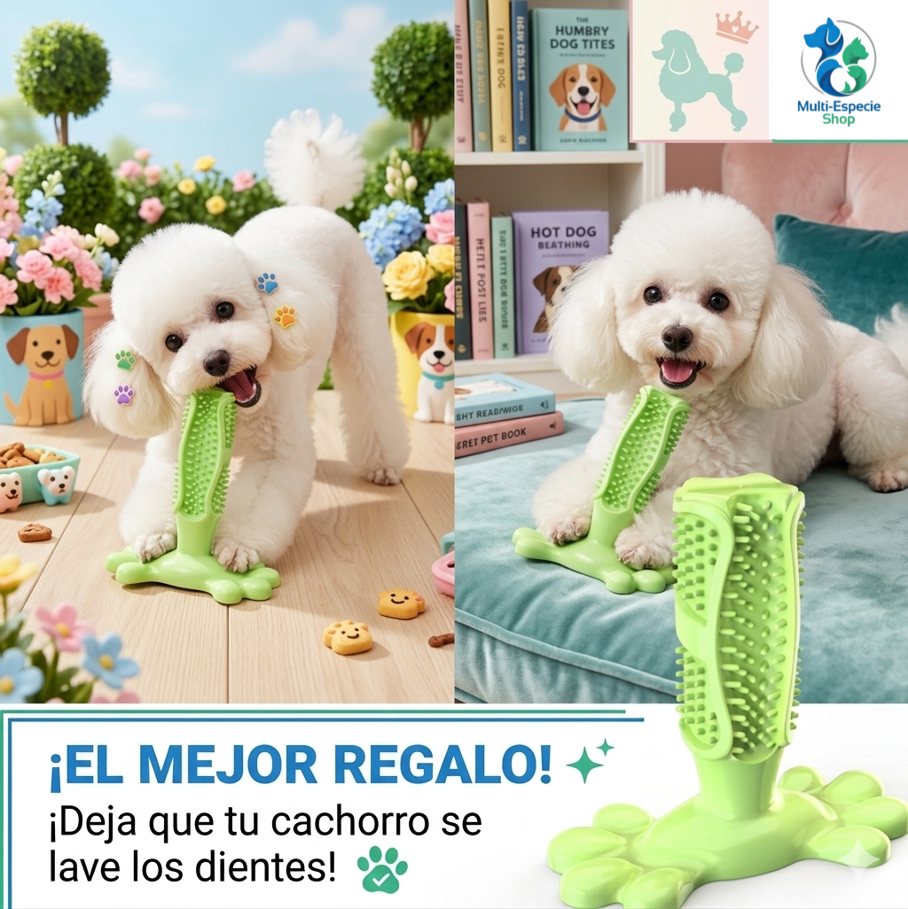 Juguete Cepillo Limpiador Antiestres