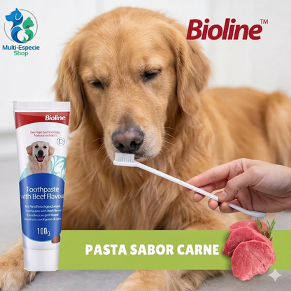 Set Cuidado Dental Bio Line Sabor Carne