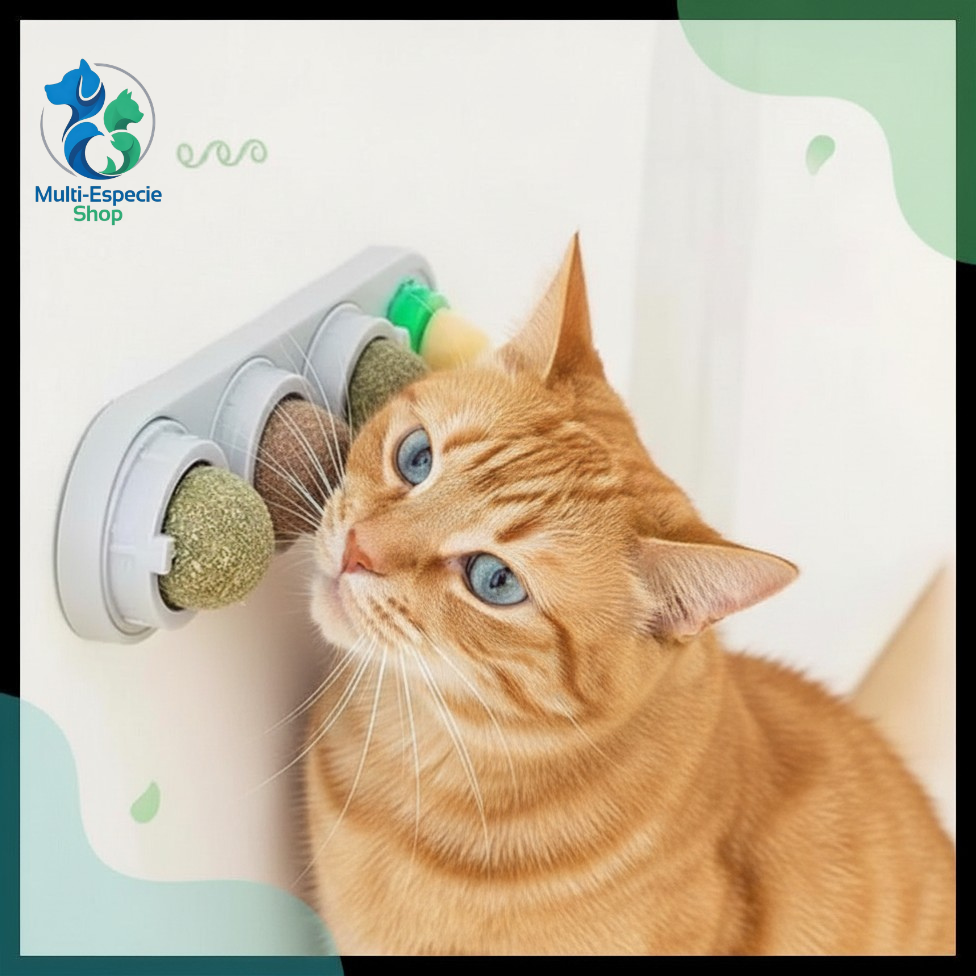 Bola de Catnip 3 en 1 para Gatos – Hierba Gatera Natural + Soporte Giratorio 360°