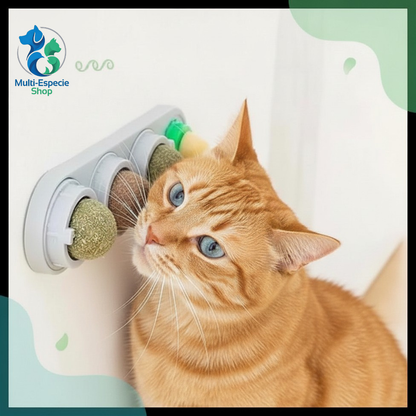 Bola de Catnip 3 en 1 para Gatos – Hierba Gatera Natural + Soporte Giratorio 360°