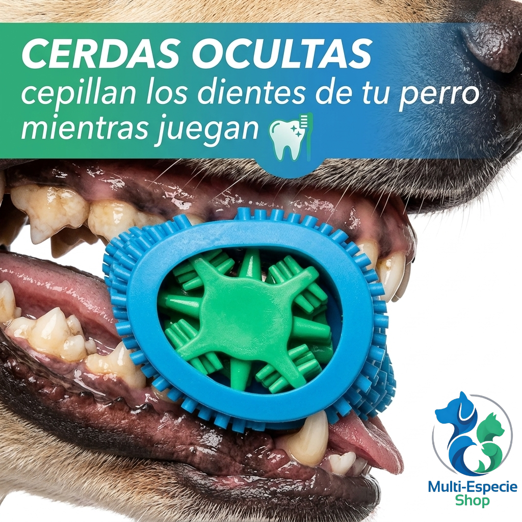 CHEWBRUSH: El Juguete Hueso Cepillo 3 en 1