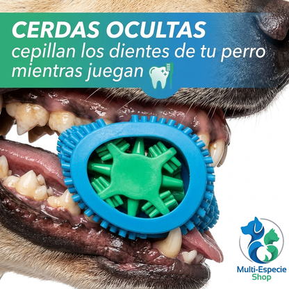 CHEWBRUSH: El Juguete Hueso Cepillo 3 en 1