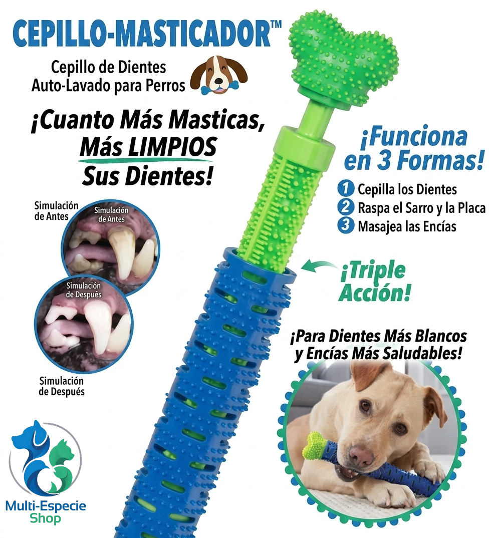 CHEWBRUSH: El Juguete Hueso Cepillo 3 en 1