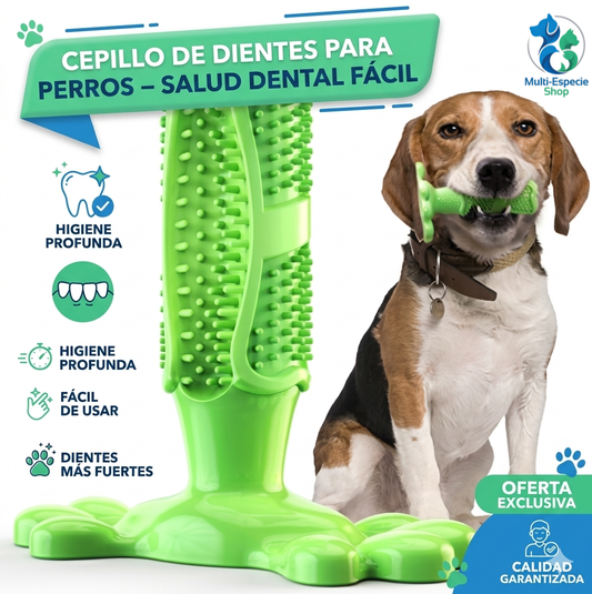 Juguete Cepillo Limpiador Antiestres