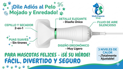 secador + cepillo 2 en 1 portátil deslizante