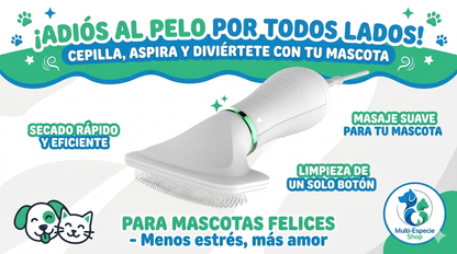 secador + cepillo 2 en 1 portátil deslizante