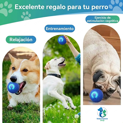 Pelota Inteligente Interactiva