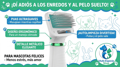 secador + cepillo 2 en 1 portátil deslizante