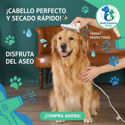 secador + cepillo 2 en 1 portátil deslizante