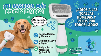 secador + cepillo 2 en 1 portátil deslizante
