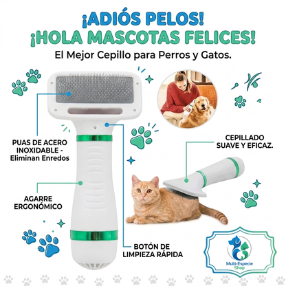 secador + cepillo 2 en 1 portátil deslizante