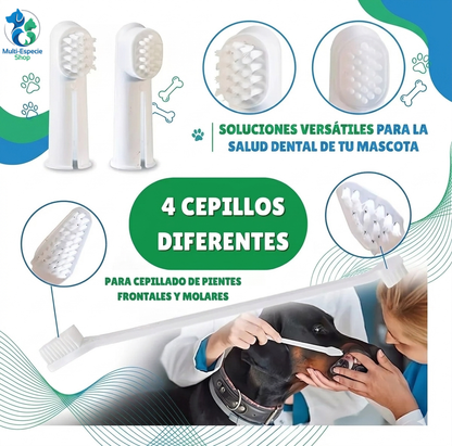 Set Cuidado Dental Bio Line Sabor Carne