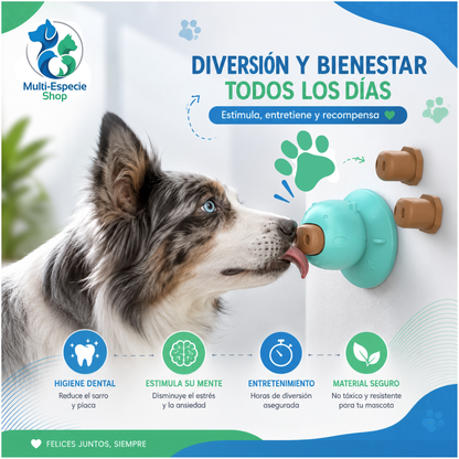 DOG Chew Toy