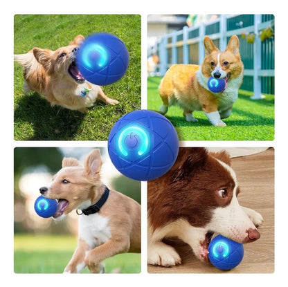 Pelota Inteligente Interactiva